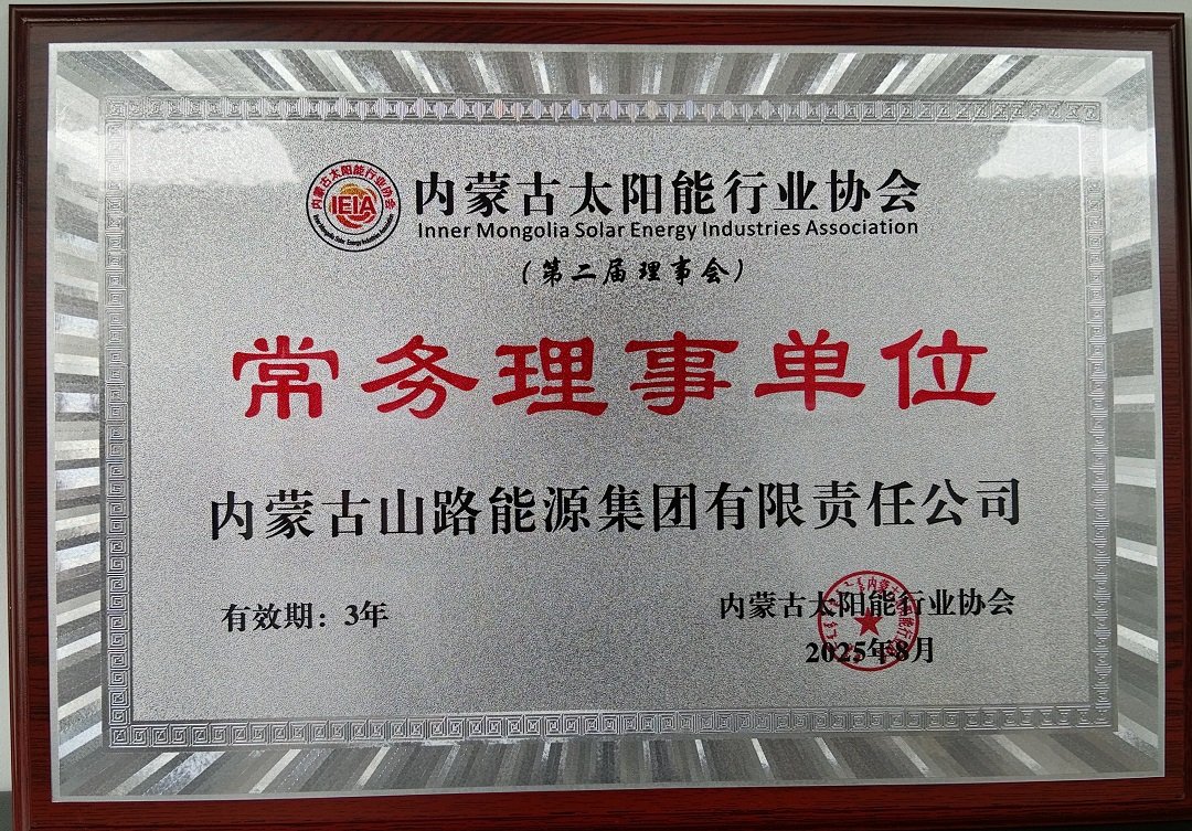 2.西安隆基清洁能源有限公司